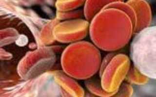 Диета при тромбозе: полезные и вредные продукты
